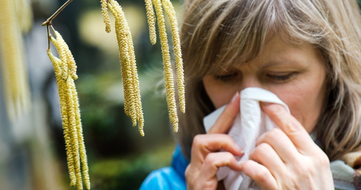 Niesattacke-beim-Fahren-ADAC-Tipps-f-r-Autofahrer-mit-Heuschnupfen