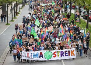 Der Demonstrationszug von Fridays for Future in Kiel., © Christian Charisius/dpa