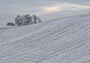 Schnee liegt auf den Hügeln am Rande des Oderbruchs., © Patrick Pleul/dpa