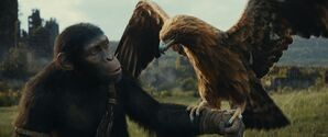 Noa (gesprochen von Owen Teague) in einer Szene des Films «Planet der Affen: New Kingdom», © -/20th Century Studios/dpa