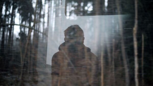 Ein junger Mann blickt aus dem Fenster eines Regionalexpress, der an einem Wald vorbei fährt., © Karl-Josef Hildenbrand/dpa/Illustration