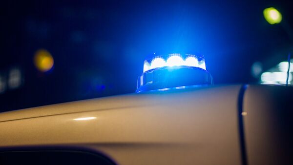 Ein Blaulicht leuchtet auf dem Dach eines Polizeifahrzeugs., © Fernando Gutierrez-Juarez/dpa/Symbolbild