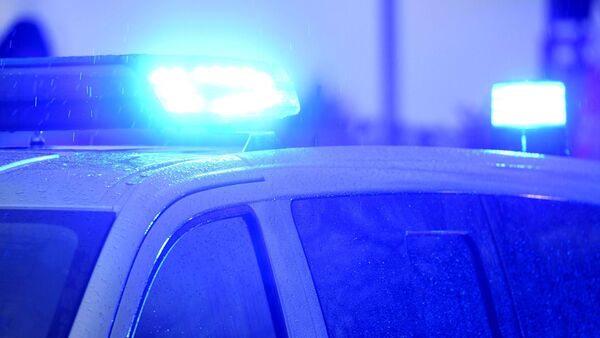 Blaulichter leuchten auf dem Dach eines Polizeifahrzeugs., © Carsten Rehder/dpa/Symbolbild